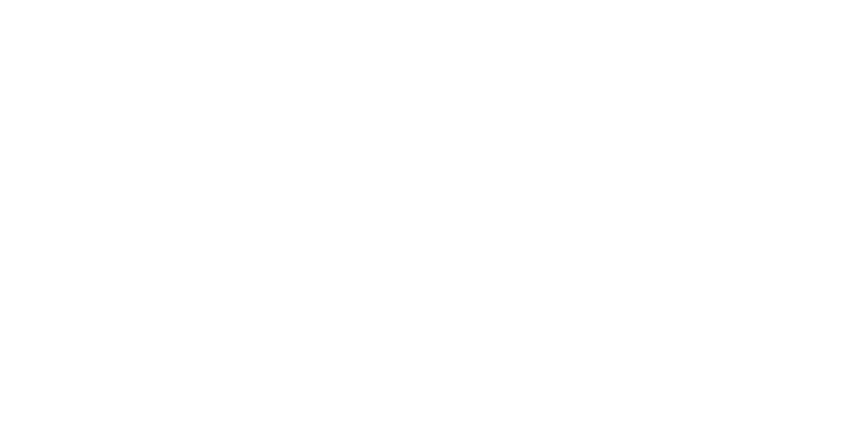 Nedburg Capitals